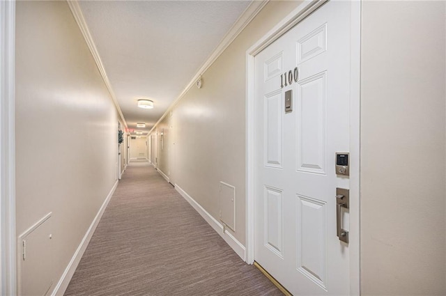 hallway with carpet and ornamental molding