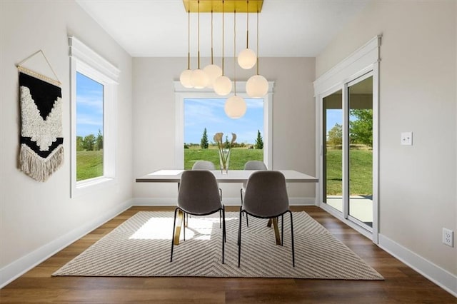 dining room featuring dark wood-type flooring and a wealth of natural light