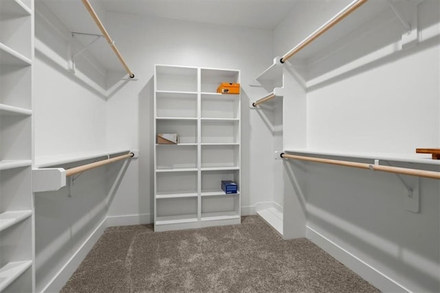 walk in closet featuring dark carpet