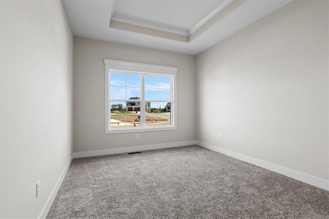 carpeted spare room featuring a raised ceiling