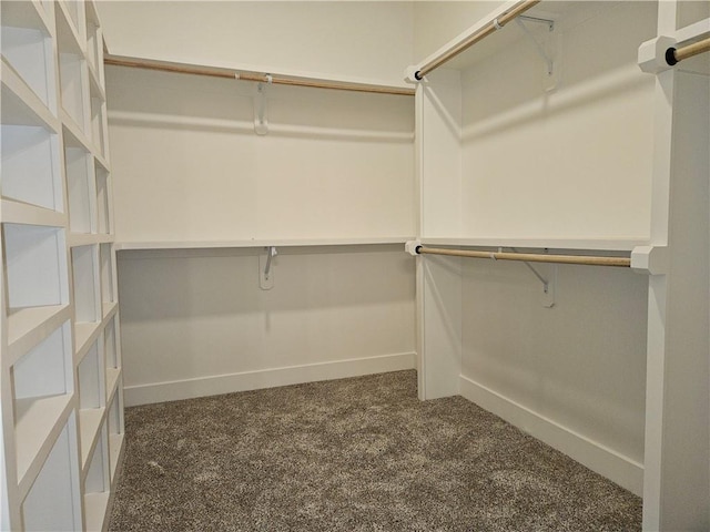 walk in closet with dark colored carpet