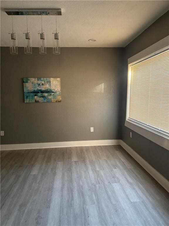 spare room with hardwood / wood-style flooring