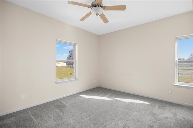 unfurnished room featuring a wealth of natural light, carpet floors, and ceiling fan