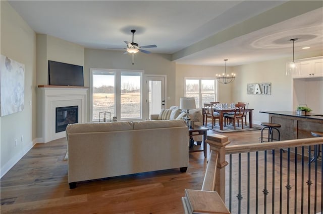 living room with dark wood-type flooring, plenty of natural light, and ceiling fan with notable chandelier