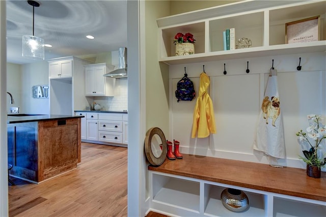 mudroom with sink and light wood-type flooring