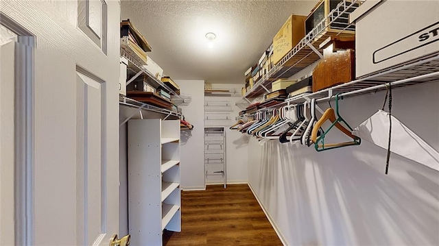 spacious closet featuring dark hardwood / wood-style flooring