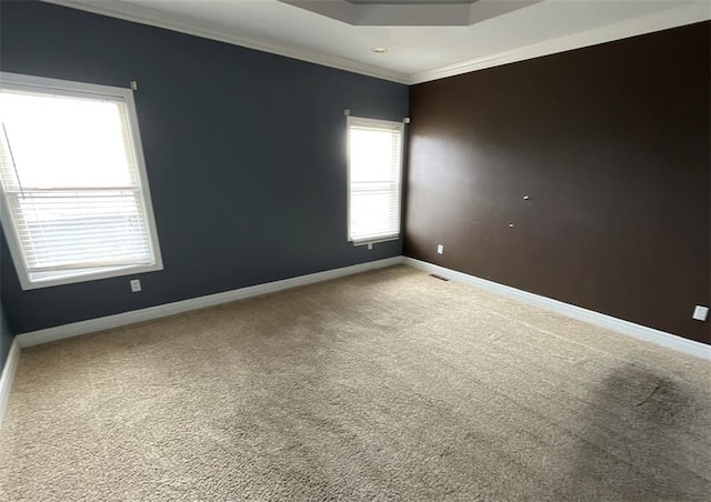 spare room featuring ornamental molding and carpet floors