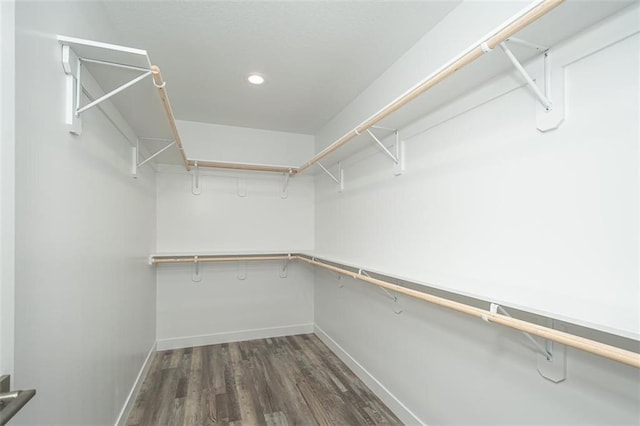 walk in closet with dark wood finished floors