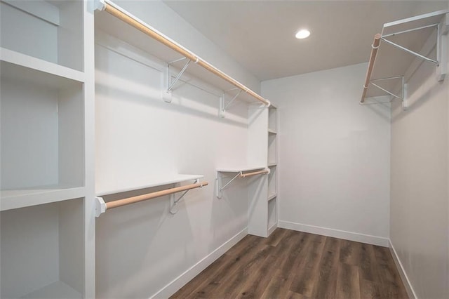 spacious closet featuring dark wood-type flooring