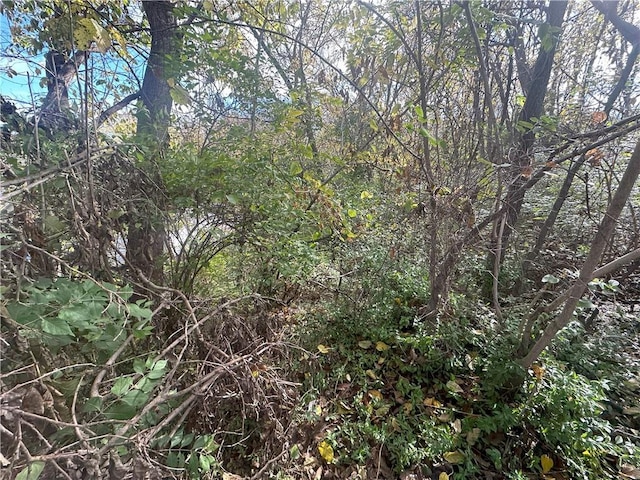 1405 Hardesty Ave, Kansas City, MO 64127 - photo 49