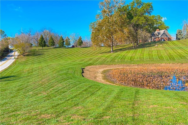 view of property's community with a yard