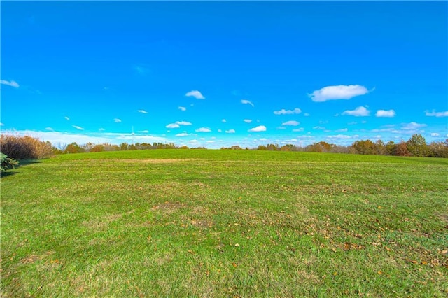 view of local wilderness featuring a rural view