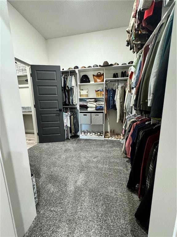 walk in closet with carpet flooring