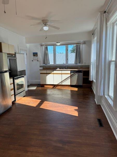 kitchen featuring sink, appliances with stainless steel finishes, ceiling fan, range hood, and dark wood-type flooring