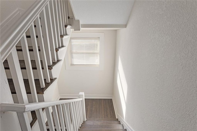 stairway with wood-type flooring