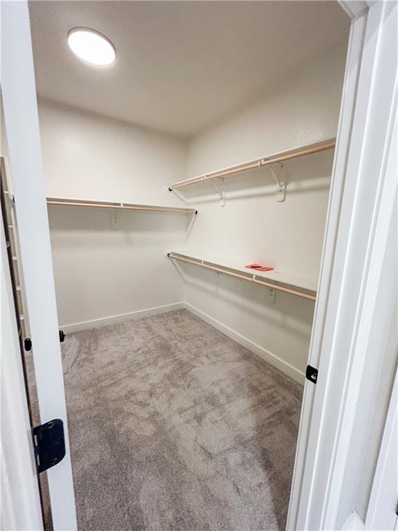 walk in closet with carpet flooring