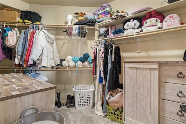 spacious closet with carpet floors