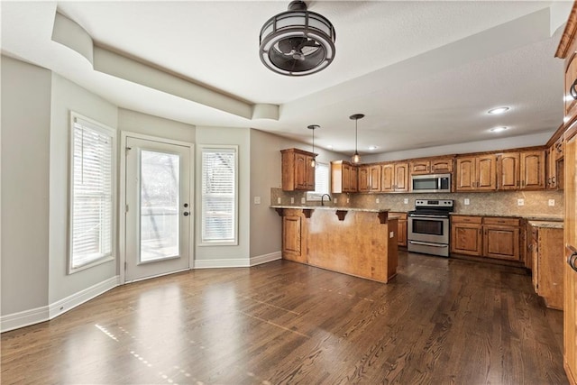 kitchen featuring kitchen peninsula, stainless steel appliances, dark hardwood / wood-style floors, and a wealth of natural light