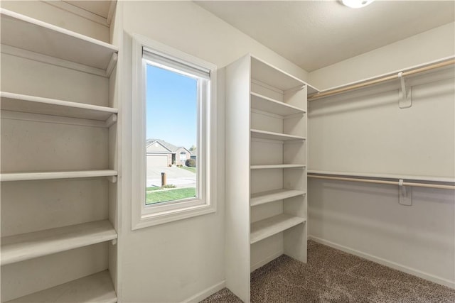 walk in closet with carpet floors