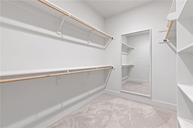 spacious closet featuring light colored carpet