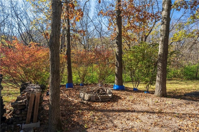 view of yard featuring a fire pit