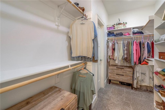 spacious closet featuring light colored carpet