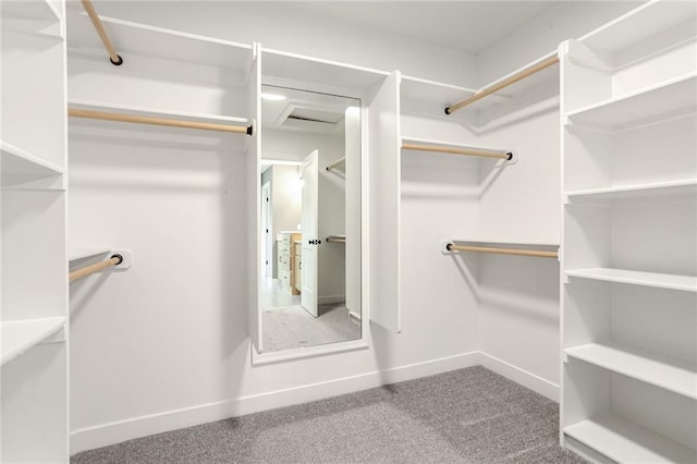 walk in closet featuring carpet flooring