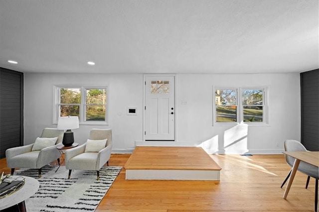 entryway featuring light wood-type flooring and a healthy amount of sunlight