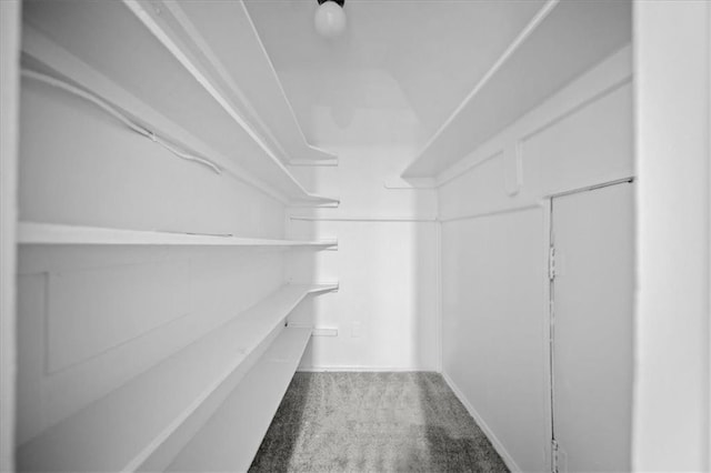 walk in closet with carpet