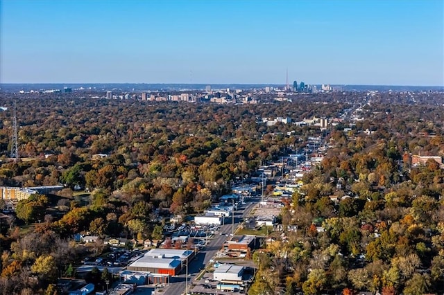 bird's eye view