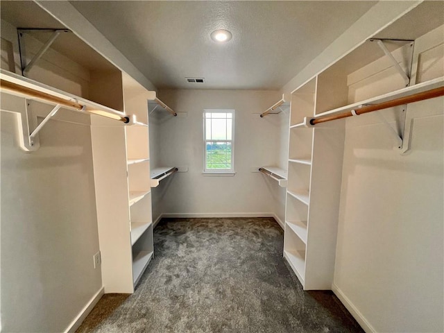 spacious closet with dark carpet