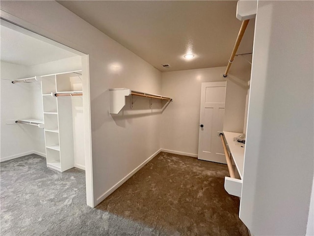 422 Victory Cir, Kearney, MO 64060 - walk in closet featuring carpet