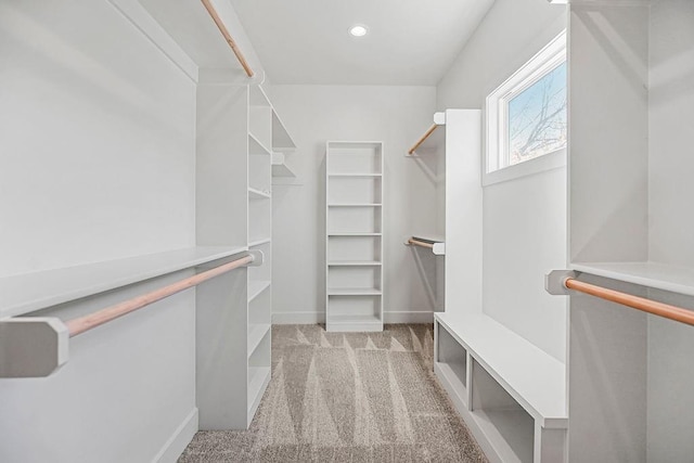 spacious closet featuring carpet flooring