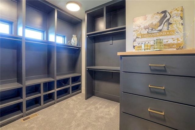 spacious closet featuring light colored carpet