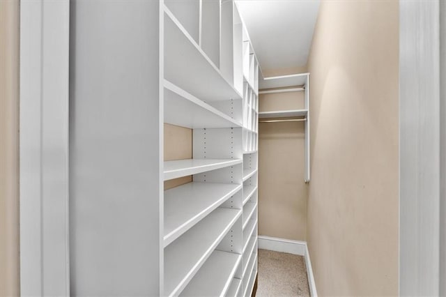 spacious closet featuring carpet flooring