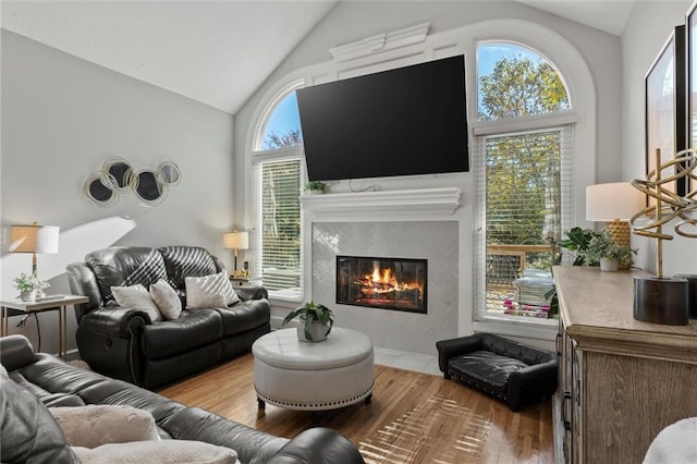 living room featuring high vaulted ceiling, hardwood / wood-style flooring, and a healthy amount of sunlight