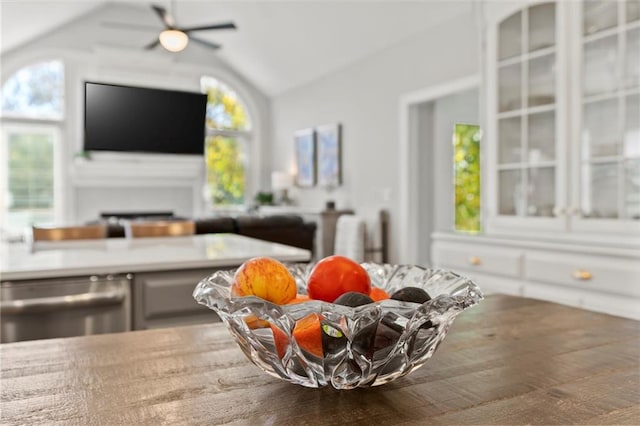 details featuring stainless steel dishwasher and ceiling fan