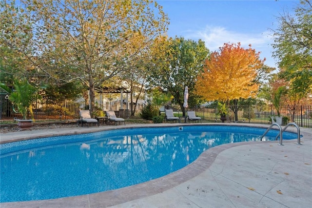 view of swimming pool with a patio area