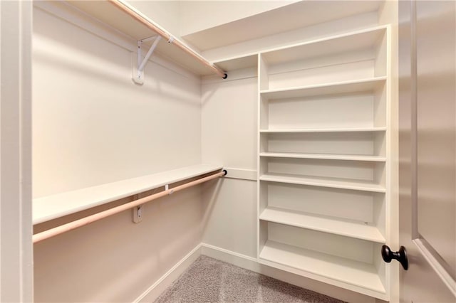 walk in closet featuring carpet floors