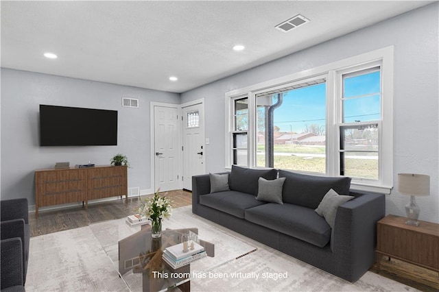 living room featuring hardwood / wood-style floors