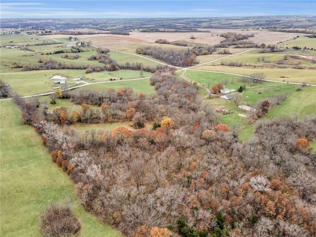 drone / aerial view featuring a rural view