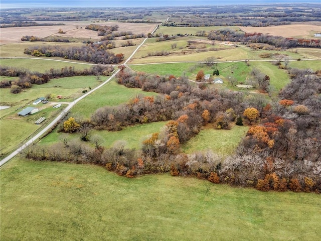 drone / aerial view featuring a rural view