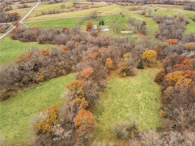 aerial view with a rural view