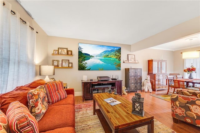 living room with hardwood / wood-style floors