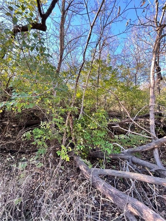 4818 Blue Ridge Cutoff St, Kansas City, MO 64133