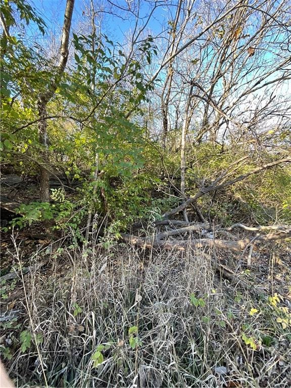 4816 Blue Ridge Cutoff St, Kansas City MO, 64133 land for sale