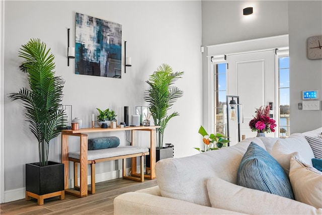 living room with hardwood / wood-style flooring