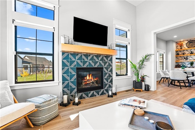 living room featuring wood-type flooring and a fireplace