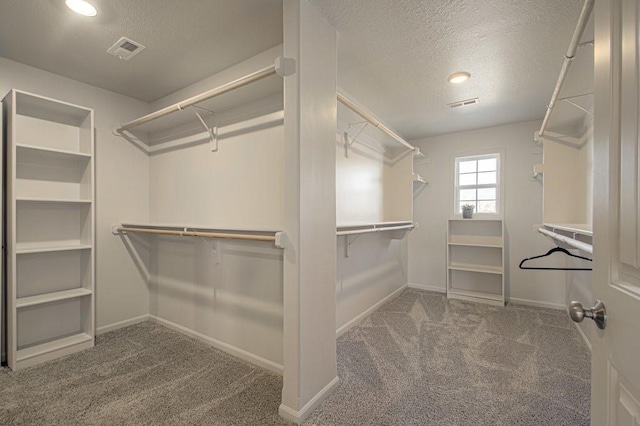 spacious closet with carpet flooring and visible vents