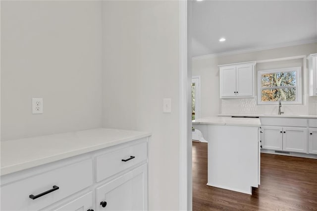 kitchen featuring a sink, tasteful backsplash, dark wood finished floors, white cabinetry, and crown molding